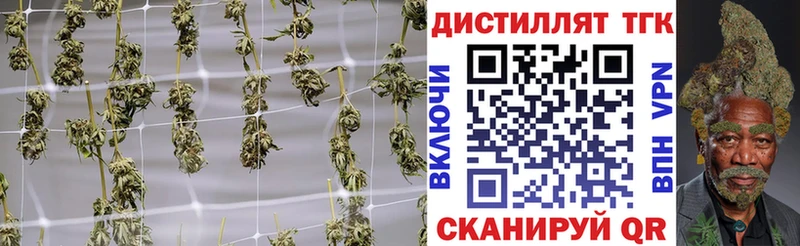 ТГК THC oil  Купить  Вышний Волочёк 