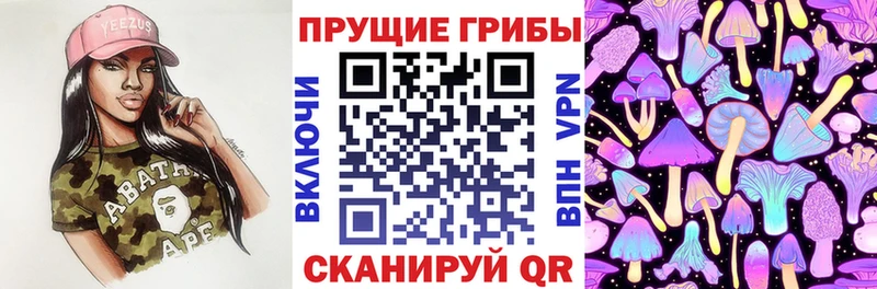 Купить закладки  Вышний Волочёк  Галлюциногенные грибы ЛСД 